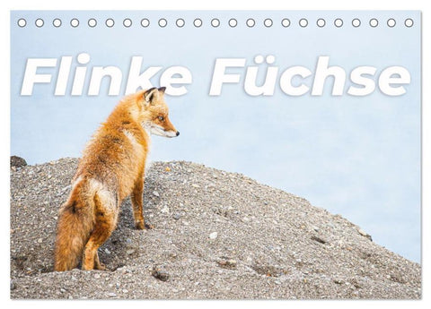 Flinke Füchse (Tischkalender 2026 DIN A5 quer), CALVENDO Monatskalender