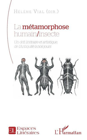 La métamorphose humain/insecte