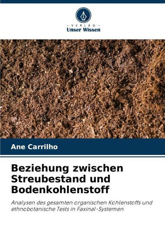Beziehung zwischen Streubestand und Bodenkohlenstoff