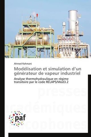 Modélisation et simulation d'un générateur de vapeur industriel