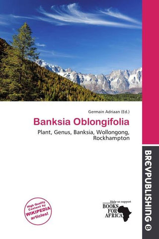 Banksia Oblongifolia