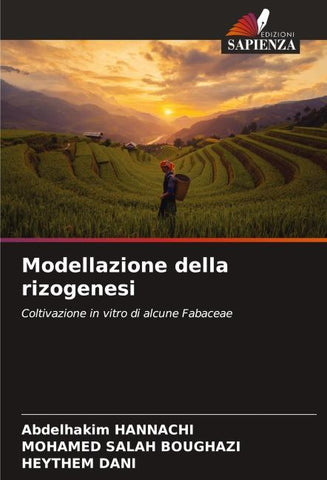 Modellazione della rizogenesi