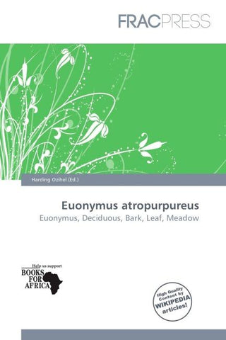 Euonymus atropurpureus
