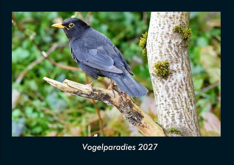 Vogelparadies 2027 Fotokalender DIN A4