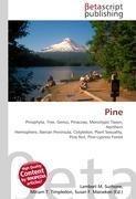 Pine