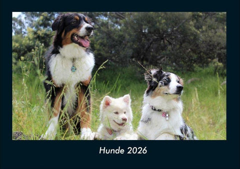 Hunde 2026 Fotokalender DIN A4
