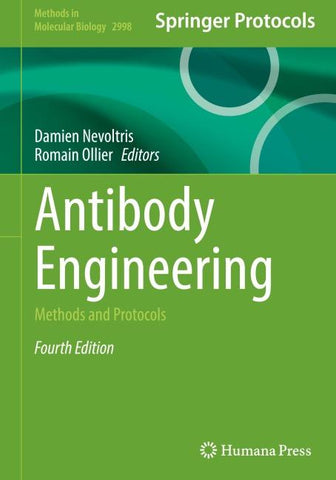 Antibody Engineering