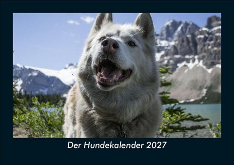 Der Hundekalender 2027 Fotokalender DIN A5