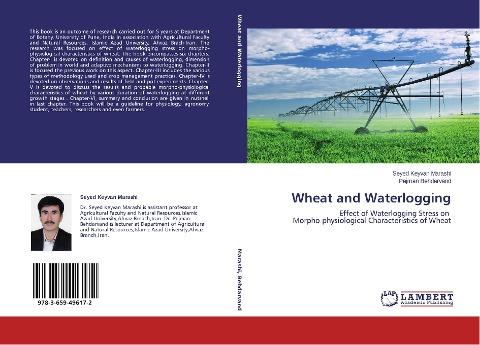Wheat and Waterlogging