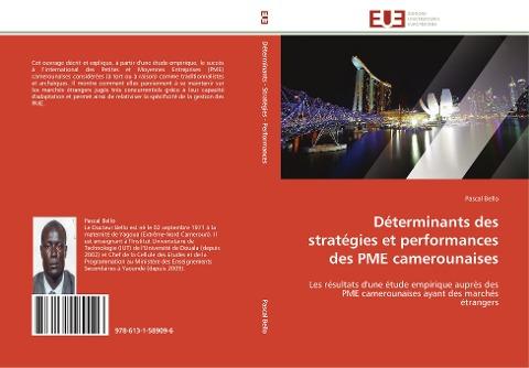 Déterminants des stratégies et performances des PME camerounaises