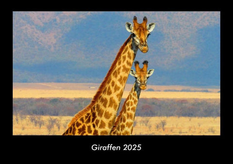 Giraffen 2025 Fotokalender DIN A3