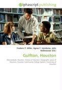 Gulfton, Houston