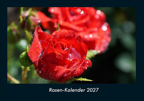 Rosen-Kalender 2027 Fotokalender DIN A4