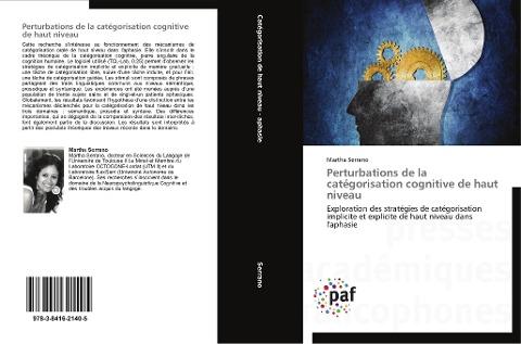 Perturbations de la catégorisation cognitive de haut niveau