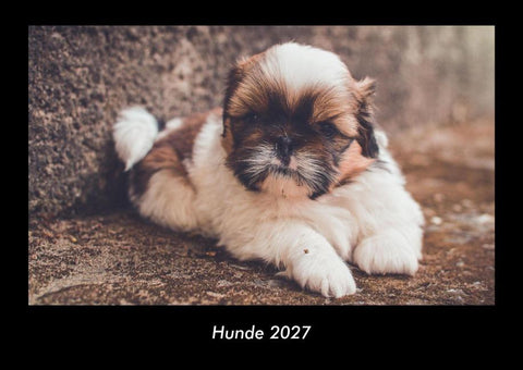 Hunde 2027 Fotokalender DIN A3