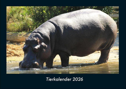Tierkalender 2026 Fotokalender DIN A4