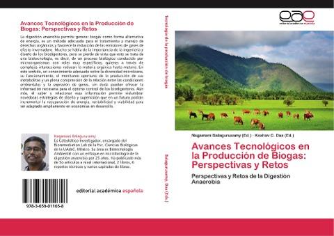 Avances Tecnológicos en la Producción de Biogas: Perspectivas y Retos