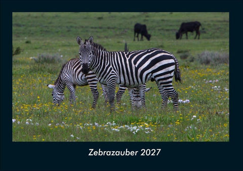 Zebrazauber 2027 Fotokalender DIN A4
