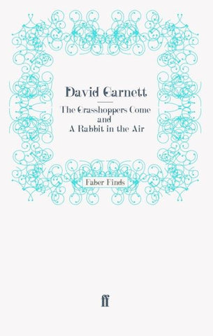 The Grasshoppers Come and A Rabbit in the Air