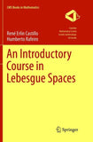 An Introductory Course in Lebesgue Spaces