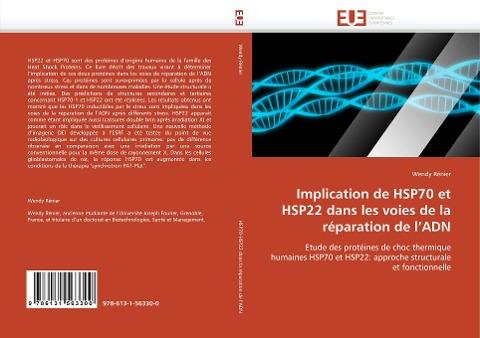 Implication de HSP70 et HSP22 dans les voies de la réparation de l''ADN