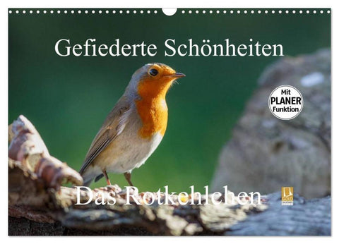 Gefiederte Schönheiten - Das Rotkehlchen / Planer (Wandkalender 2026 DIN A3 quer), CALVENDO Monatskalender