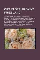 Ort in der Provinz Friesland
