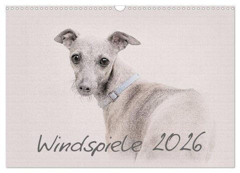 Windspiele 2026 (Wandkalender 2026 DIN A3 quer), CALVENDO Monatskalender
