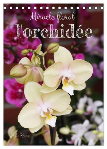Miracle floral l'orchidée (Calendrier de bureau 2026 DIN A5 horizontal), CALVENDO calendrier mensuel