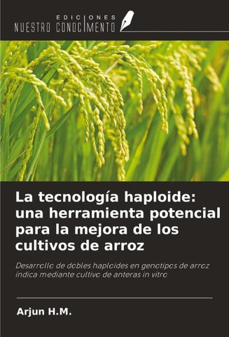 La tecnología haploide: una herramienta potencial para la mejora de los cultivos de arroz