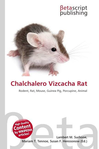 Chalchalero Vizcacha Rat
