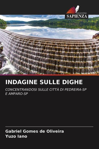 INDAGINE SULLE DIGHE