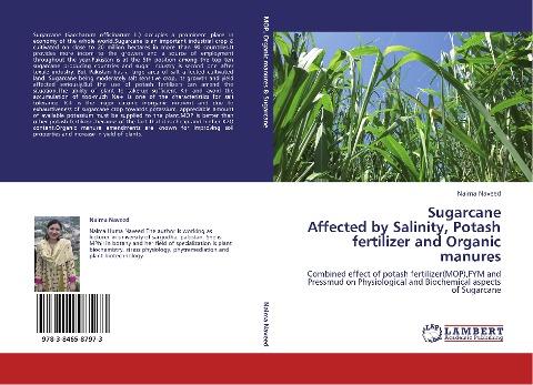 Sugarcane  Affected by Salinity, Potash fertilizer and Organic manures