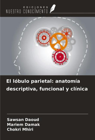 El lóbulo parietal: anatomía descriptiva, funcional y clínica