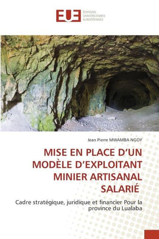 MISE EN PLACE D'UN MODÈLE D'EXPLOITANT MINIER ARTISANAL SALARIÉ