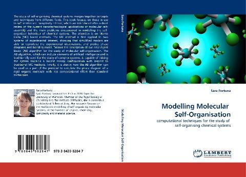 Modelling Molecular  Self-Organisation