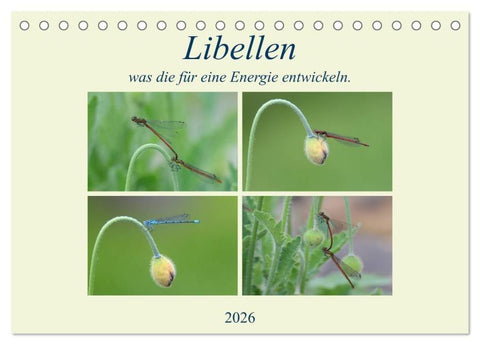 Libellen, was die für eine Energie entwickeln. (Tischkalender 2026 DIN A5 quer), CALVENDO Monatskalender