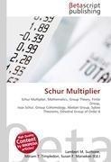 Schur Multiplier