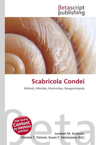 Scabricola Condei