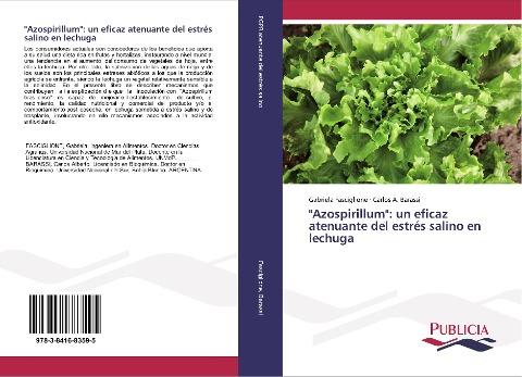 "Azospirillum": un eficaz atenuante del estrés salino en lechuga