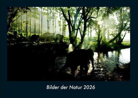 Bilder der Natur 2026 Fotokalender DIN A4