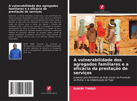 A vulnerabilidade dos agregados familiares e a eficácia da prestação de serviços