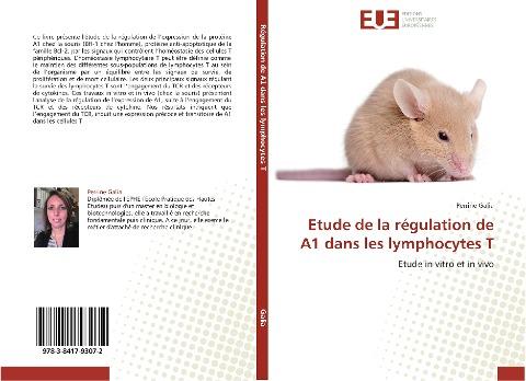 Etude de la régulation de A1 dans les lymphocytes T