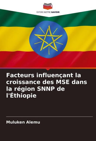 Facteurs influençant la croissance des MSE dans la région SNNP de l'Éthiopie