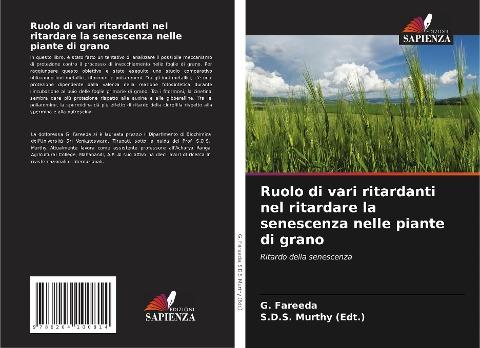 Ruolo di vari ritardanti nel ritardare la senescenza nelle piante di grano
