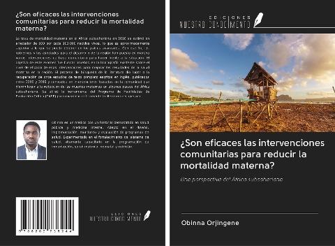 ¿Son eficaces las intervenciones comunitarias para reducir la mortalidad materna?
