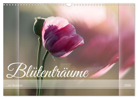 Blütenträume - im Quadrat (Wandkalender 2026 DIN A3 quer), CALVENDO Monatskalender