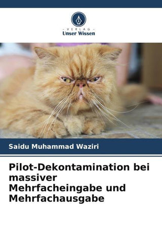 Pilot-Dekontamination bei massiver Mehrfacheingabe und Mehrfachausgabe