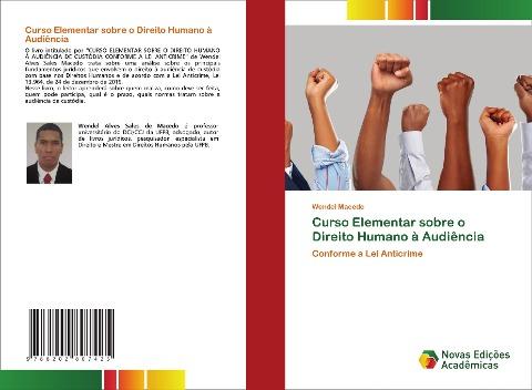 Curso Elementar sobre o Direito Humano à Audiência