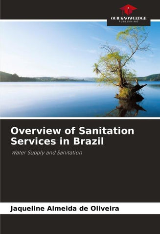 Overview of Sanitation Services in Brazil